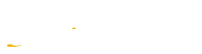 Magpie IQ